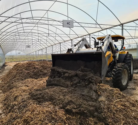 Projetos Customizados